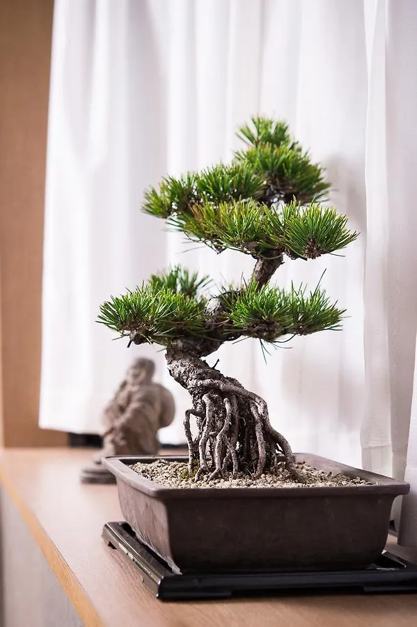 Buddha House Kyoto Holiday home